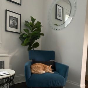 Meet your Posher, Skyler